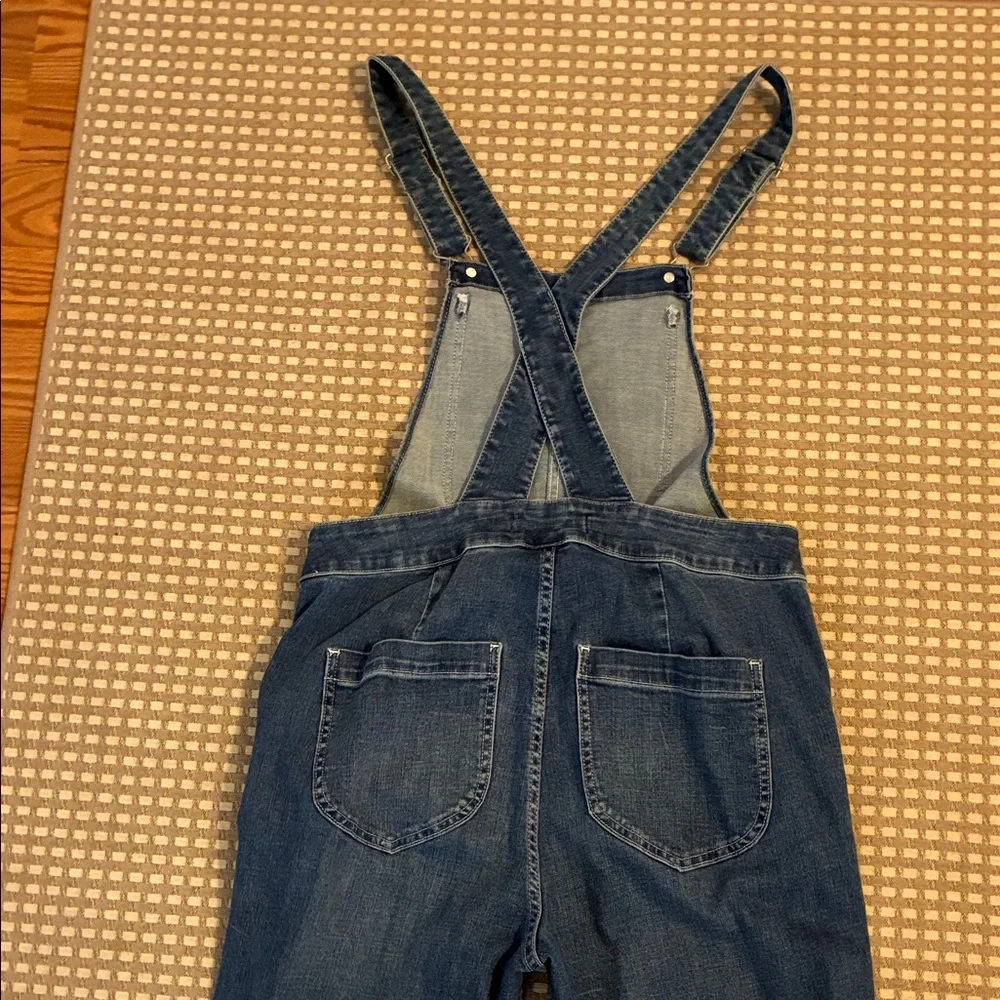 Point Sur x Jcrew Denim Overalls - Picture 6 of 6